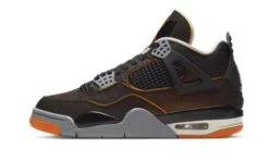 Air Jordan 4 SE Starfish