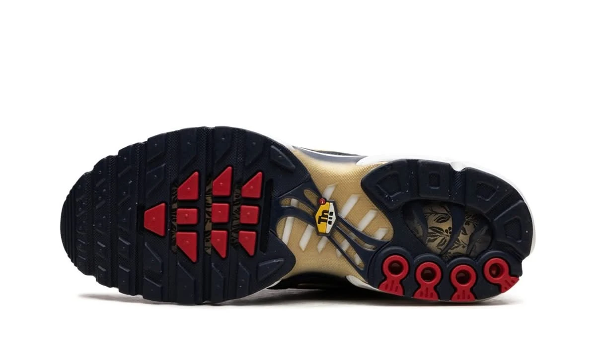 Nike Air Max Plus FFF 6 Nike Air Max Plus FFF – Image 4
