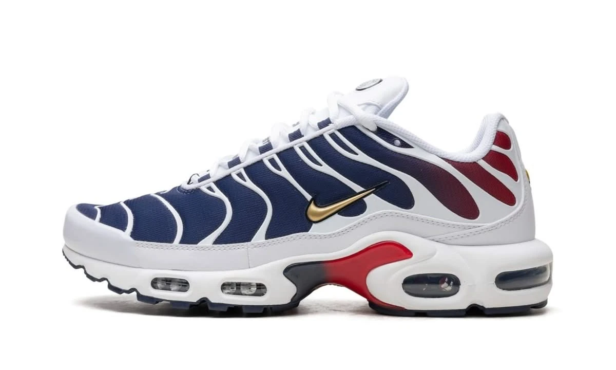 Nike Air Max Plus PSG 3 Nike Air Max Plus PSG