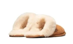 Ugg Scuffette II Slipper Chestnut 8 Ugg Scuffette II Slipper Chestnut -MNR BOUTIQUE scuffette ii slipper chestnut 297304